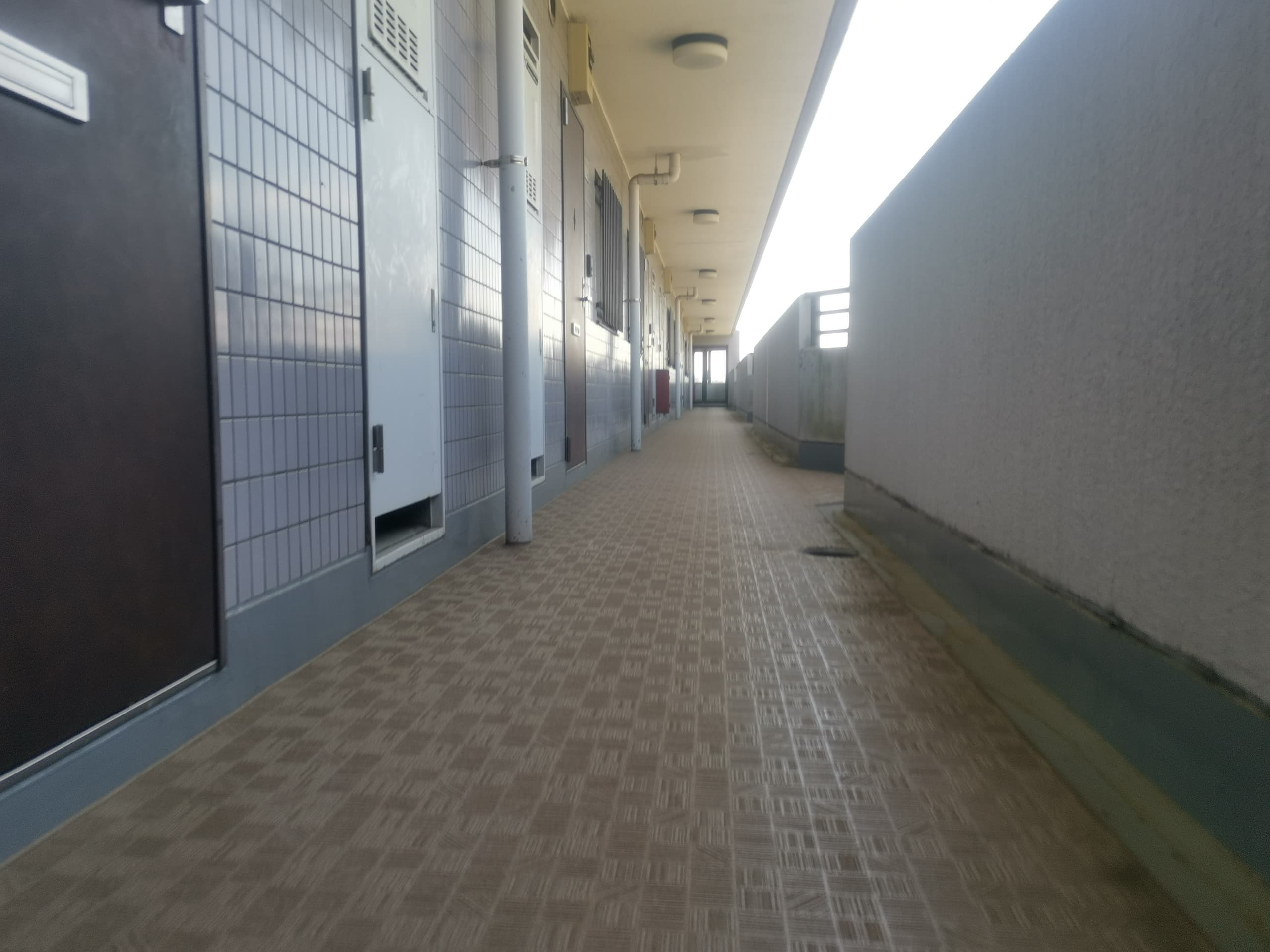 img_20230427_122520.jpg
